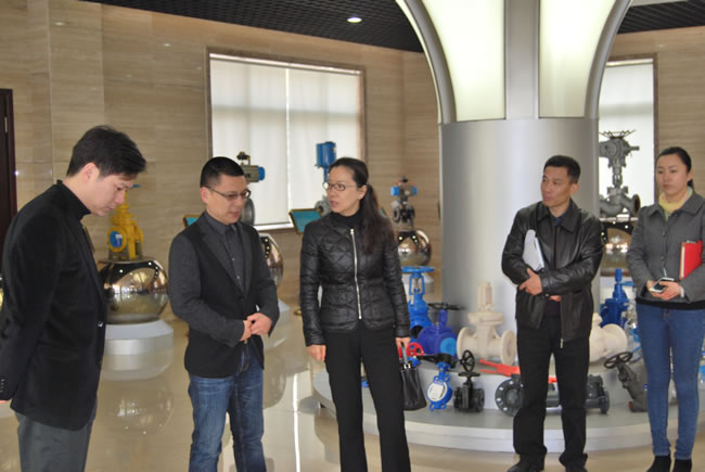 區領導視察、參觀公司榮譽展廳