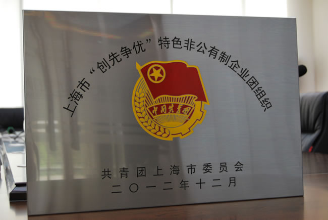 上海市‘創(chuàng)先爭優(yōu)’特色非公有制企業(yè)團(tuán)組織-獎(jiǎng)牌